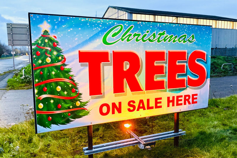 Real Christmas Trees Lancaster / Xmas Trees Morecambe Real Christmas